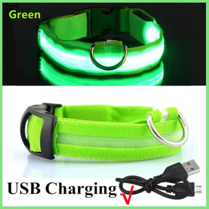 USB Rechargeable LED Dog Collar | Glowing Night Safety Collar | 3 Light Modes | XS to XXL | Adjustable Webbing & Cut-to-Fit Tube