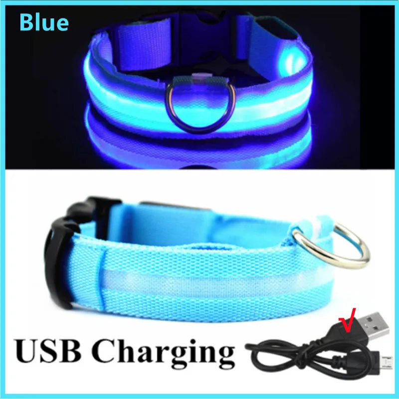 USB Rechargeable LED Dog Collar | Glowing Night Safety Collar | 3 Light Modes | XS to XXL | Adjustable Webbing & Cut-to-Fit Tube