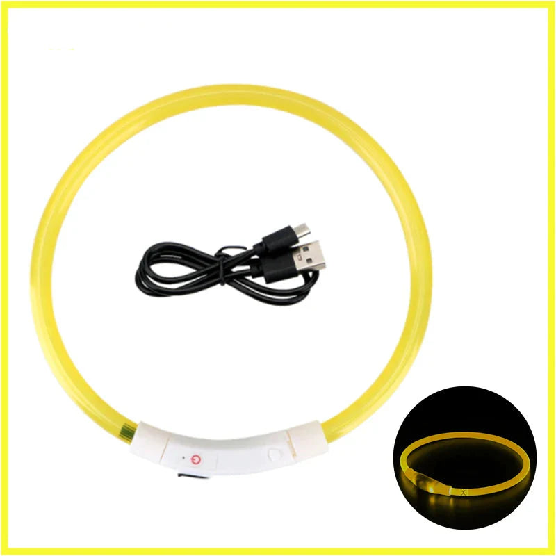 USB Rechargeable LED Dog Collar | Glowing Night Safety Collar | 3 Light Modes | XS to XXL | Adjustable Webbing & Cut-to-Fit Tube