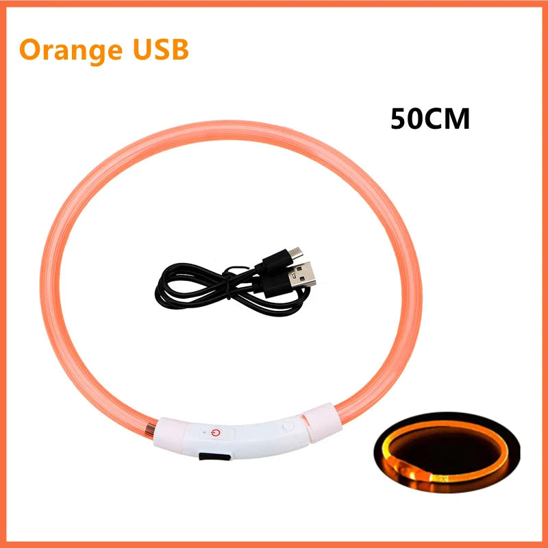 USB Rechargeable LED Dog Collar | Glowing Night Safety Collar | 3 Light Modes | XS to XXL | Adjustable Webbing & Cut-to-Fit Tube