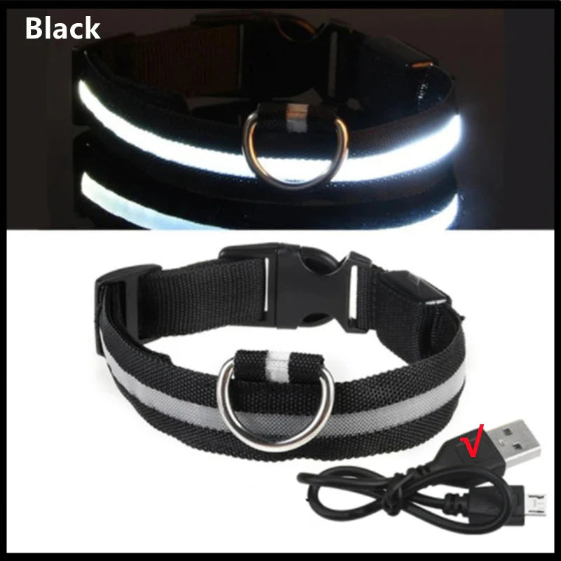USB Rechargeable LED Dog Collar | Glowing Night Safety Collar | 3 Light Modes | XS to XXL | Adjustable Webbing & Cut-to-Fit Tube