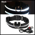 USB Rechargeable LED Dog Collar | Glowing Night Safety Collar | 3 Light Modes | XS to XXL | Adjustable Webbing & Cut-to-Fit Tube