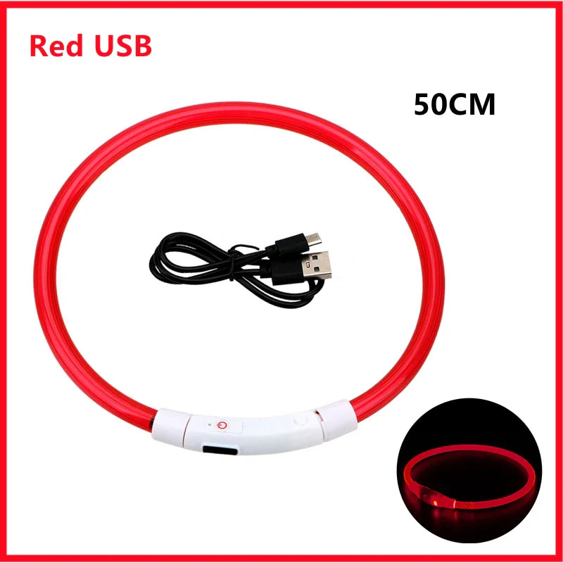 USB Rechargeable LED Dog Collar | Glowing Night Safety Collar | 3 Light Modes | XS to XXL | Adjustable Webbing & Cut-to-Fit Tube