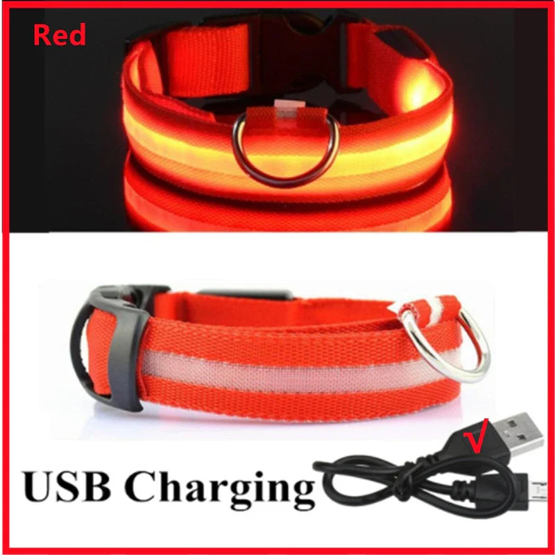 USB Rechargeable LED Dog Collar | Glowing Night Safety Collar | 3 Light Modes | XS to XXL | Adjustable Webbing & Cut-to-Fit Tube
