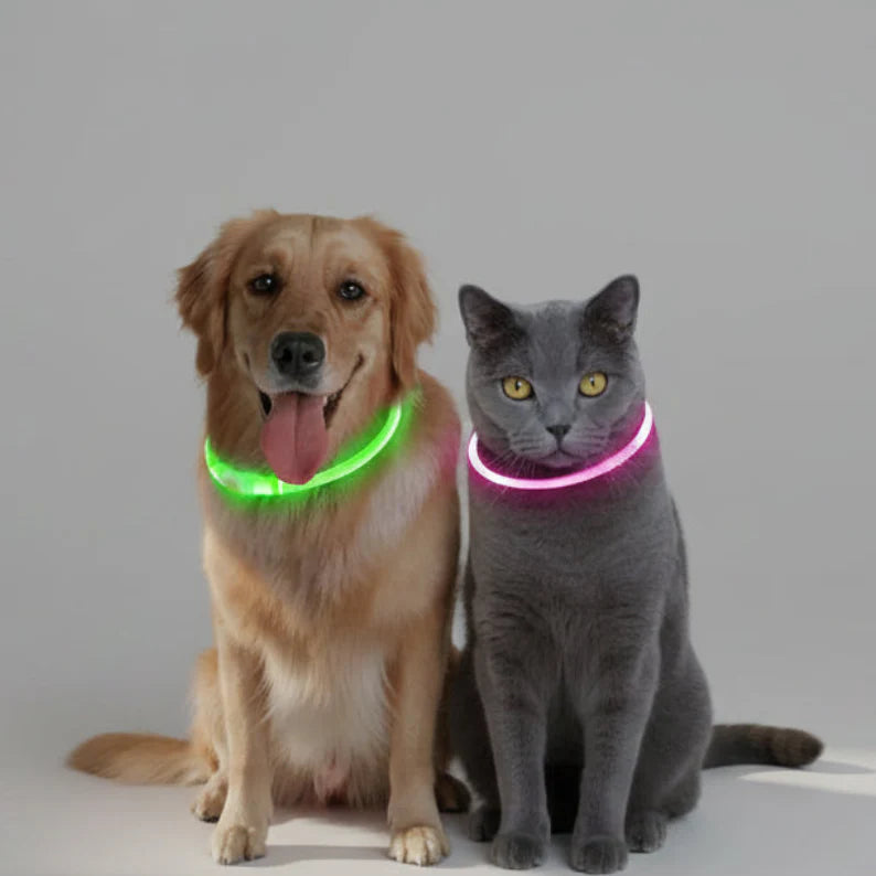 USB Rechargeable LED Dog Collar | Glowing Night Safety Collar | 3 Light Modes | XS to XXL | Adjustable Webbing & Cut-to-Fit Tube