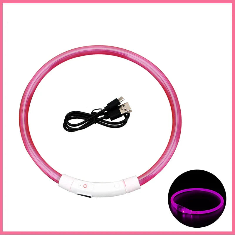 USB Rechargeable LED Dog Collar | Glowing Night Safety Collar | 3 Light Modes | XS to XXL | Adjustable Webbing & Cut-to-Fit Tube