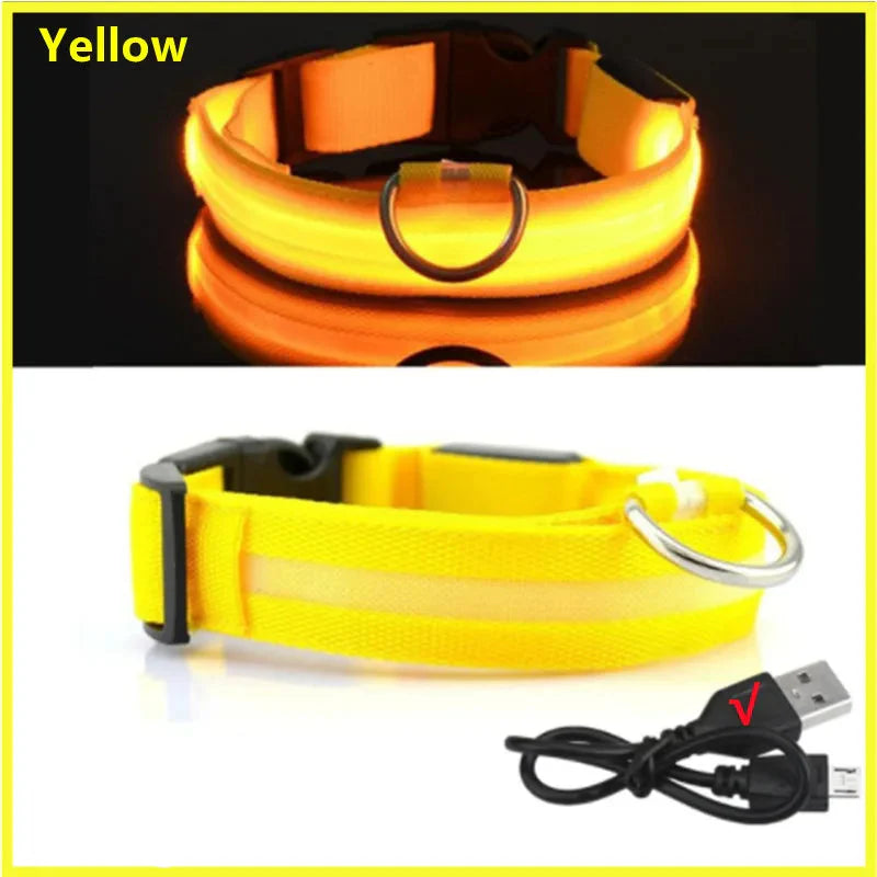 USB Rechargeable LED Dog Collar | Glowing Night Safety Collar | 3 Light Modes | XS to XXL | Adjustable Webbing & Cut-to-Fit Tube