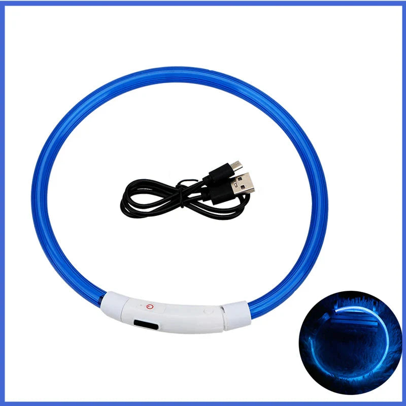 USB Rechargeable LED Dog Collar | Glowing Night Safety Collar | 3 Light Modes | XS to XXL | Adjustable Webbing & Cut-to-Fit Tube