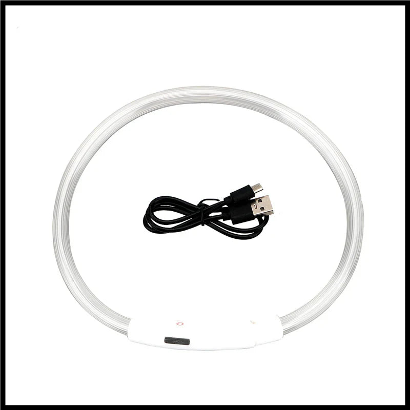 USB Rechargeable LED Dog Collar | Glowing Night Safety Collar | 3 Light Modes | XS to XXL | Adjustable Webbing & Cut-to-Fit Tube