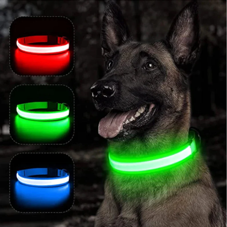 USB Rechargeable LED Dog Collar | Glowing Night Safety Collar | 3 Light Modes | XS to XXL | Adjustable Webbing & Cut-to-Fit Tube