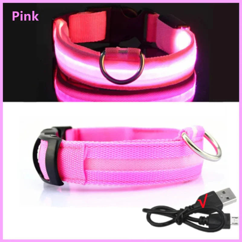 USB Rechargeable LED Dog Collar | Glowing Night Safety Collar | 3 Light Modes | XS to XXL | Adjustable Webbing & Cut-to-Fit Tube