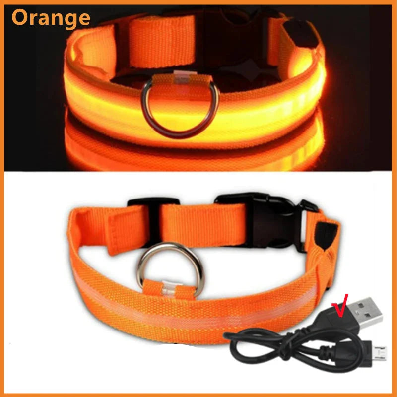 USB Rechargeable LED Dog Collar | Glowing Night Safety Collar | 3 Light Modes | XS to XXL | Adjustable Webbing & Cut-to-Fit Tube